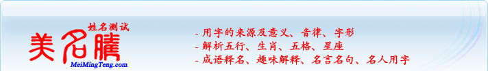 用字的來源及意義、音律、字形；五行、生肖、五格、星座；成語釋名、趣味解釋、名言名句、名人用字