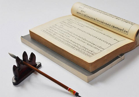 駿馬得食：為馬寶寶精選帶“艸”與“木”的名字