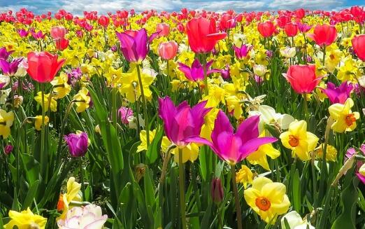 根據(jù)五行給馬寶寶起小名大全