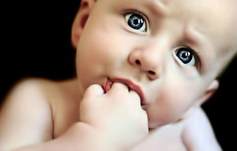 80個(gè)屬牛男寶寶起名好字精選(帶名字案例)