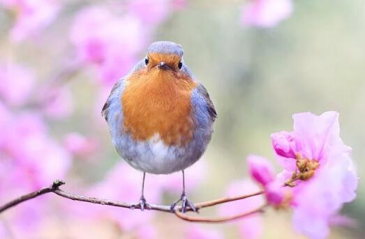 五行缺水屬水的馬寶寶起名全攻略