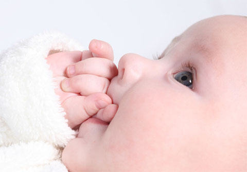 駿馬得食：為馬寶寶精選帶“艸”與“木”的名字