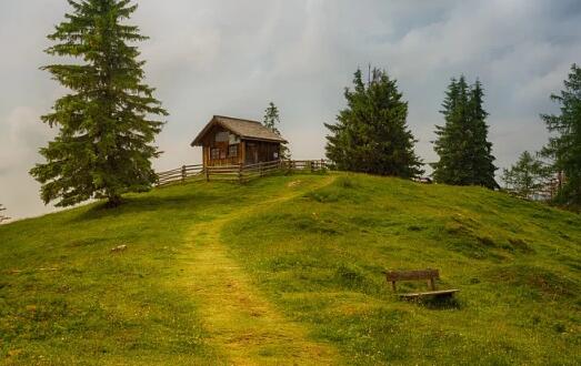 馬寶寶起名草字頭小名乳名大全