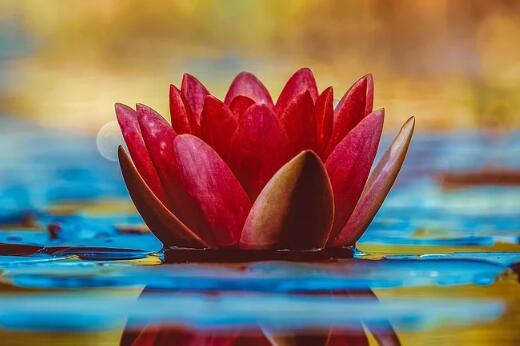 根據(jù)五行給馬寶寶起小名大全