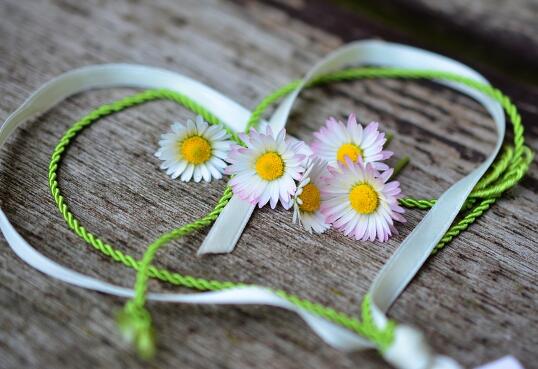 馬寶寶起名草字頭小名乳名大全