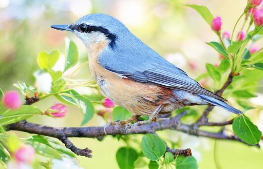 馬年女寶寶詩意好名字2026