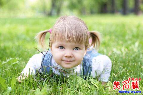 屬狗陳姓寶寶起名，女寶寶起名大全