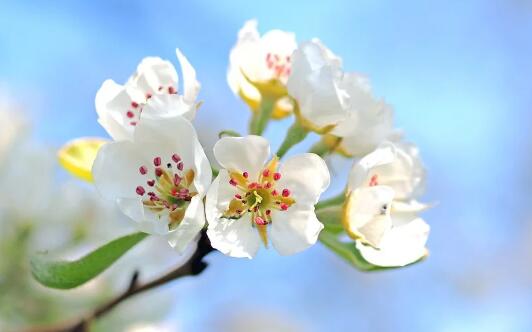 春天馬寶寶五行木火旺了怎么起名才好？